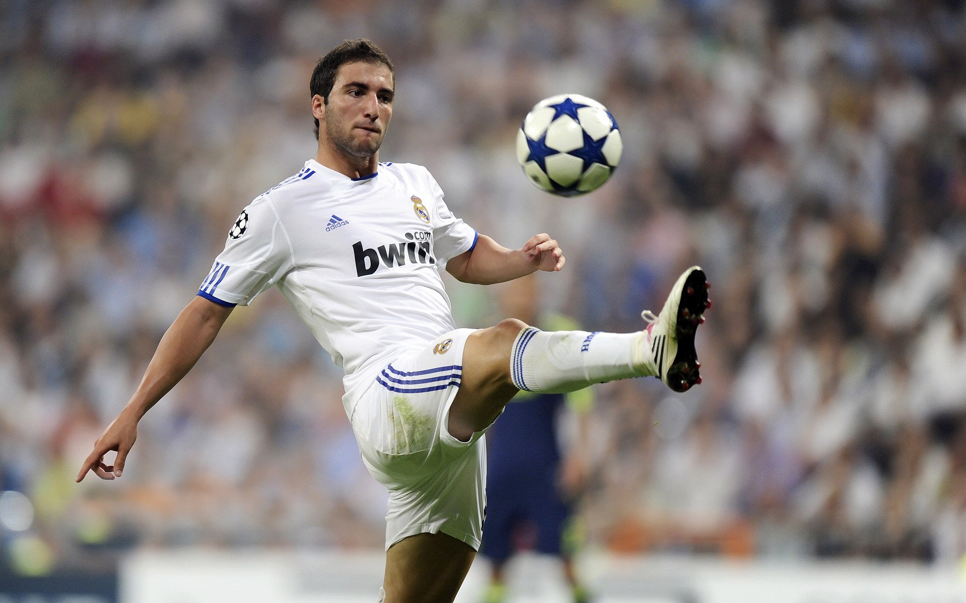 “青训学院引入国际先进自主研发训练设备”，青训营百度百科